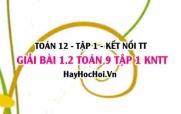 Bài 1.2 Toán 12 tập 1 SGK Kết nối tri thức